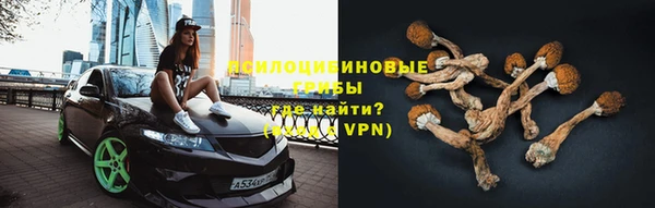 ГАЛЛЮЦИНОГЕННЫЕ ГРИБЫ Зерноград