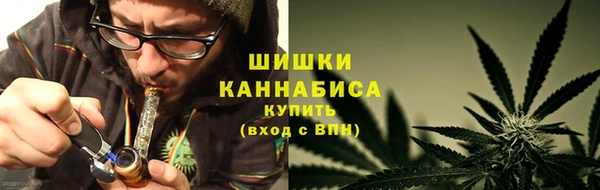 стаф Абаза