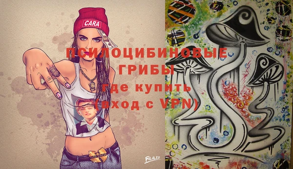 молекула духа Абинск
