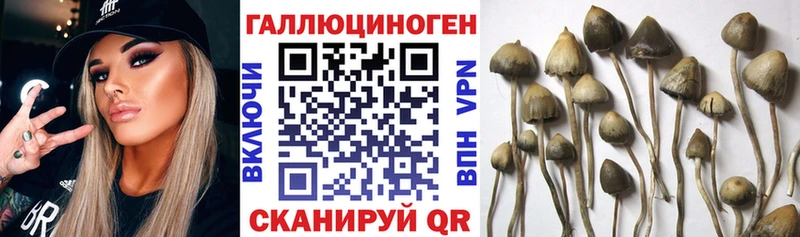Псилоцибиновые грибы ЛСД  Моршанск 