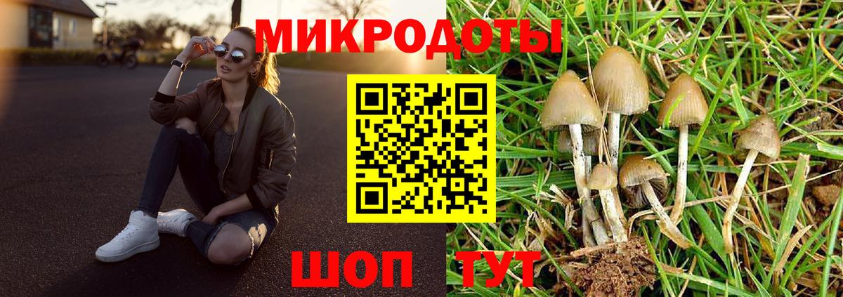 Моршанск  Псилоцибиновые грибы мухоморы  Вход с VPN 