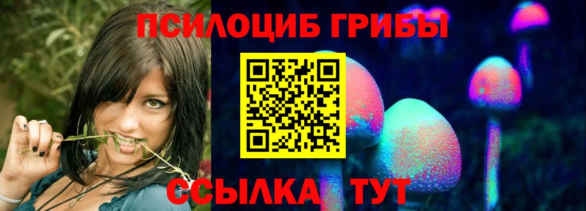 Галлюциногенные грибы Magic Shrooms Моршанск